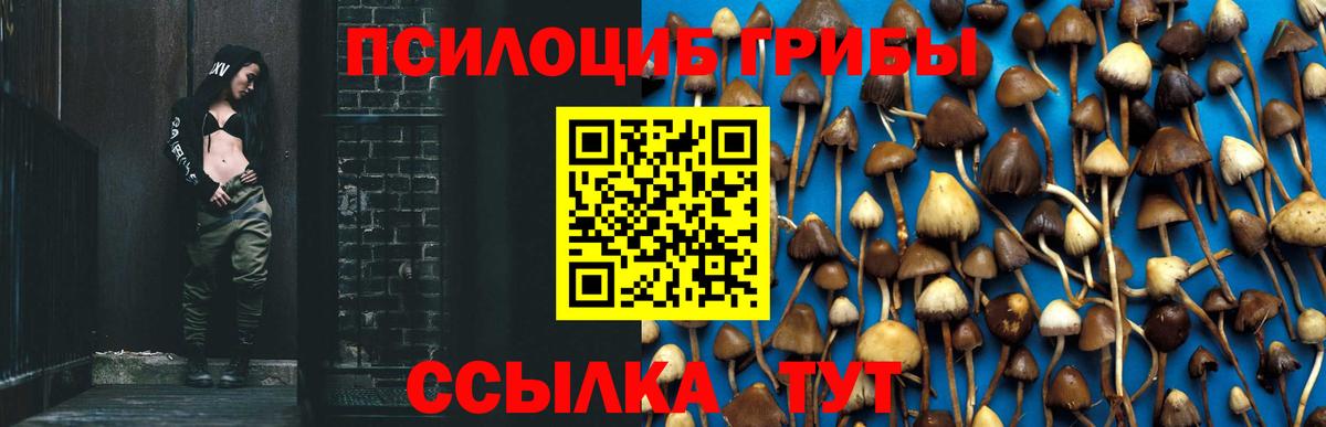 Гагарин  Псилоцибиновые грибы ЛСД  Вход с VPN 